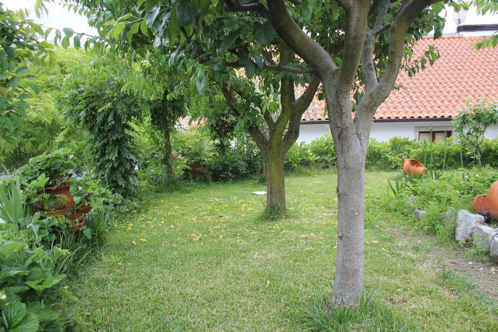 Villa Casa De Tapadeiro Resende Esterno foto