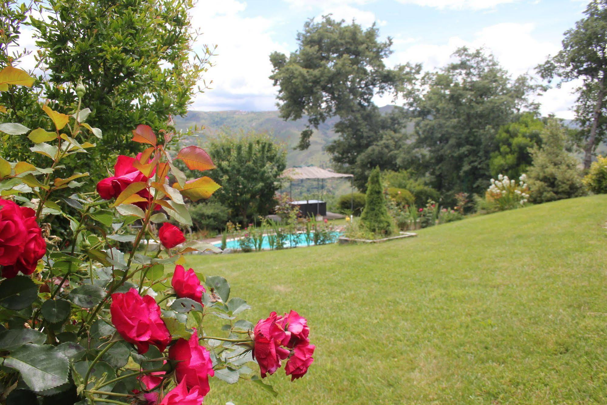 Villa Casa De Tapadeiro Resende Esterno foto